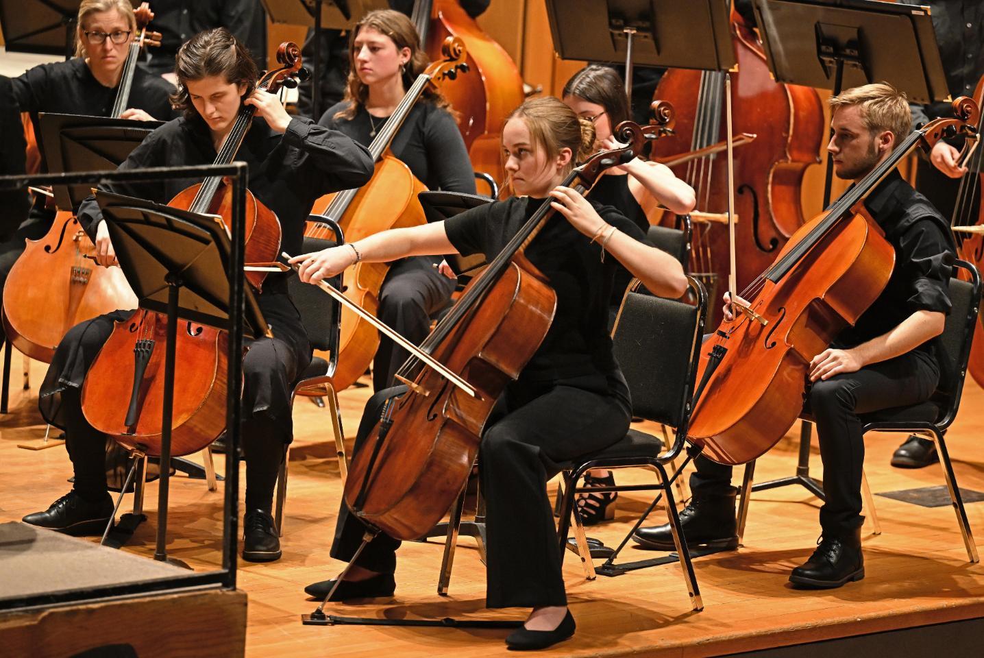 Cellists in the orchestra play during a concert.