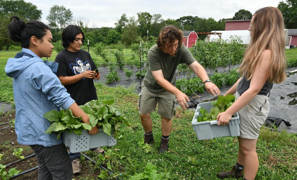 Students carrying Sprout Garden harvest