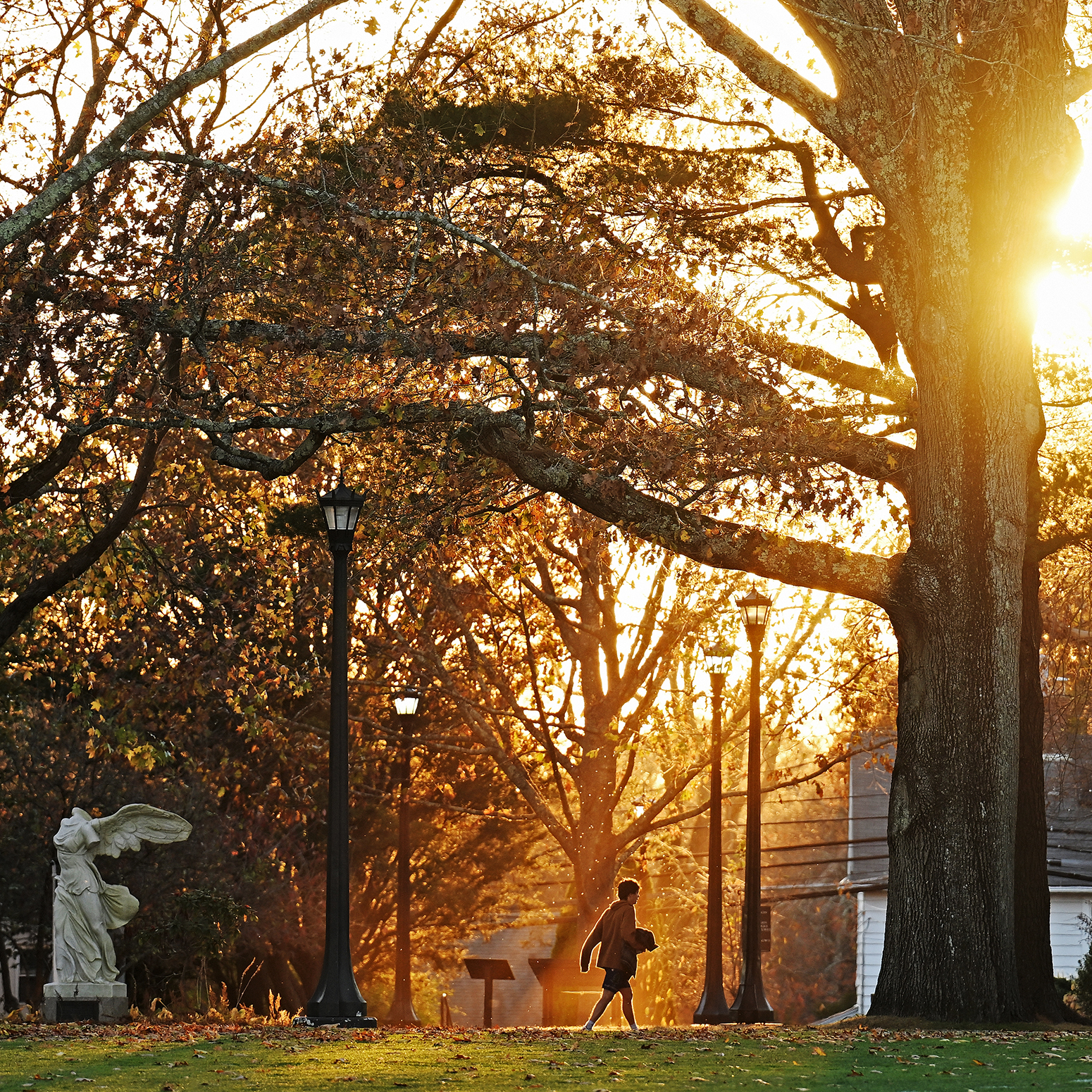 A lone students walks across campus as the sun sets behind the trees.