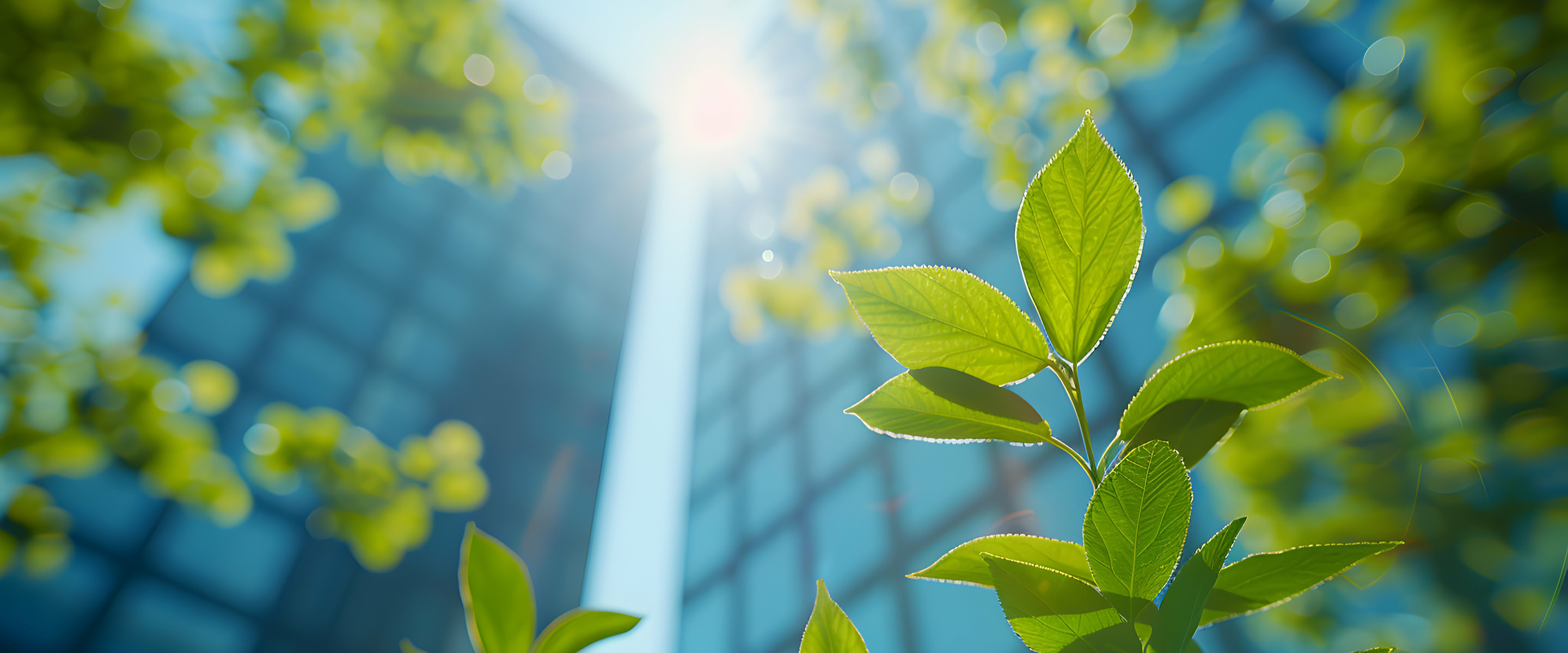 A photo with leaves in the foreground and office buildings in the background.